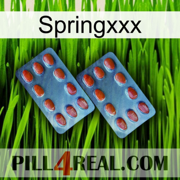 Springxxx 05.jpg